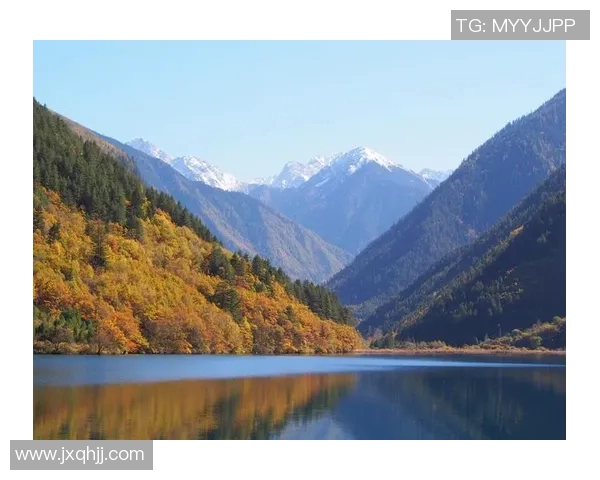 足球明星畅游中国美景感受文化魅力与自然风光的完美结合